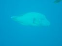 DSC00359.JPG