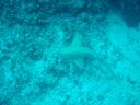 DSC00365.JPG