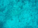DSC00366.JPG