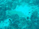 DSC00369.JPG
