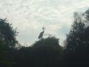 DSC00387.JPG