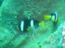 DSC00401.JPG