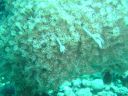 DSC00403.JPG