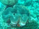DSC00404.JPG