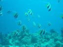 DSC00406.JPG