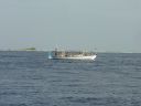 DSC00440.JPG