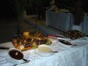 DSC00470.JPG