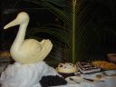 DSC00471.JPG