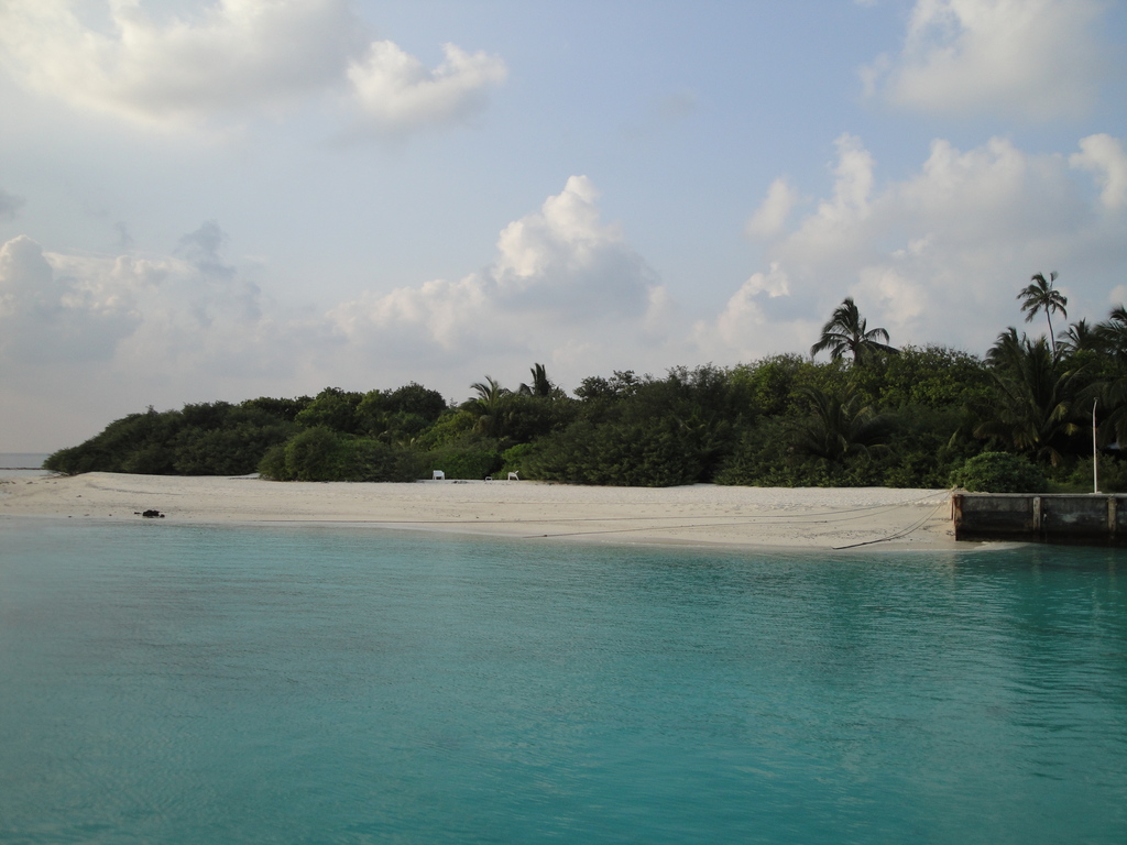 DSC00009.JPG
