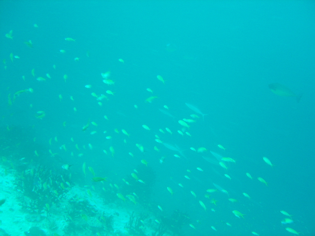 DSC00011.JPG