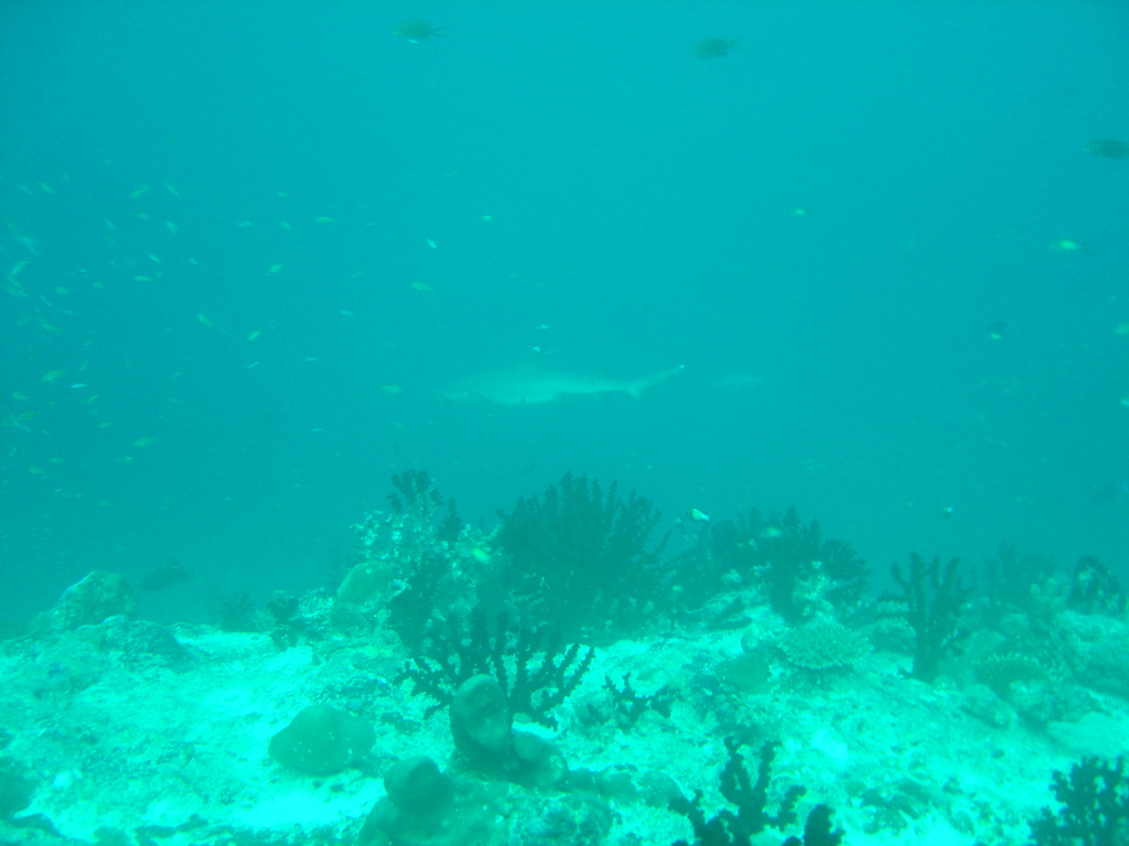 DSC00017.JPG
