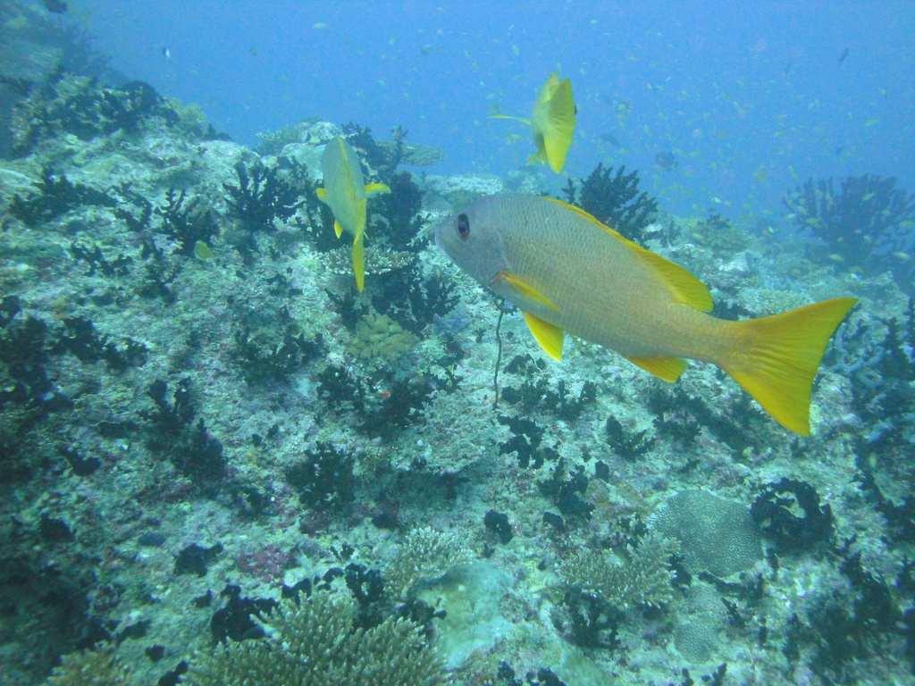 DSC00037.JPG