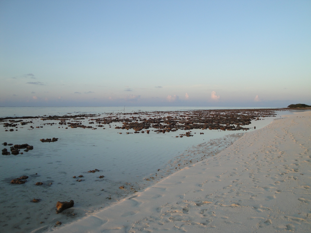 DSC00058.JPG
