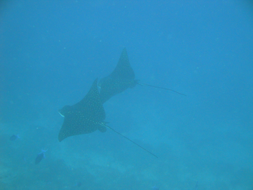 DSC00074.JPG