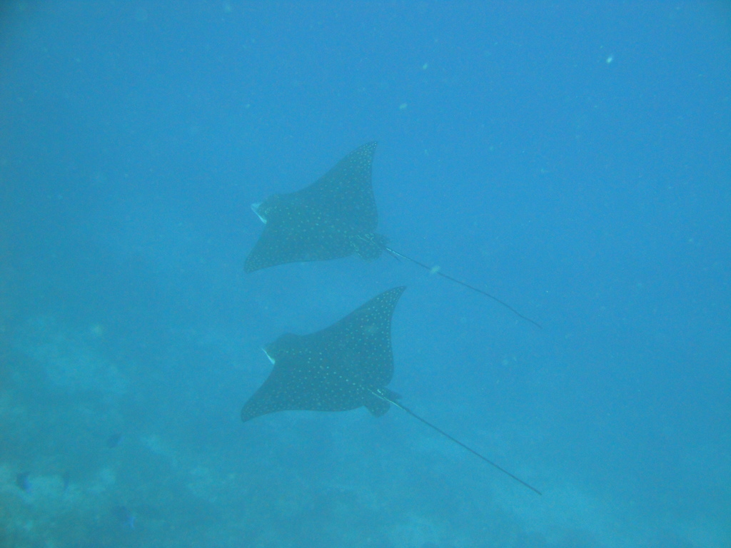 DSC00075.JPG