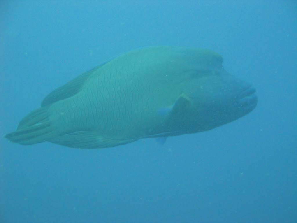 DSC00082.JPG