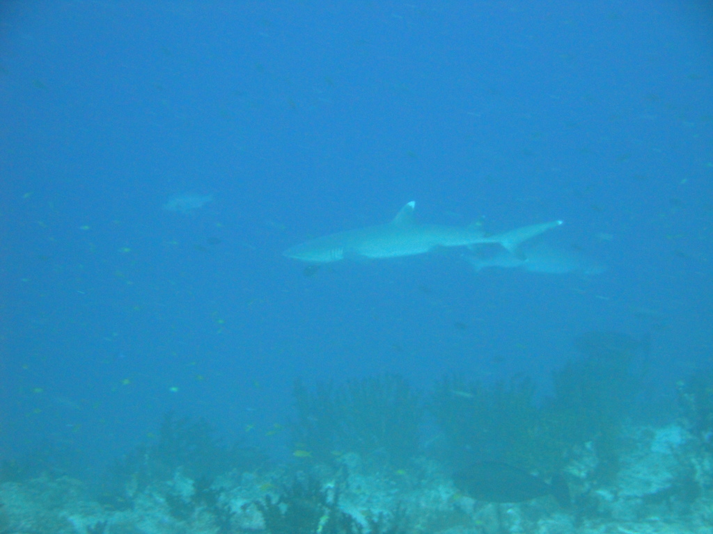 DSC00099.JPG