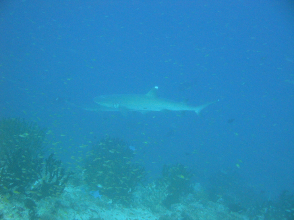 DSC00101.JPG
