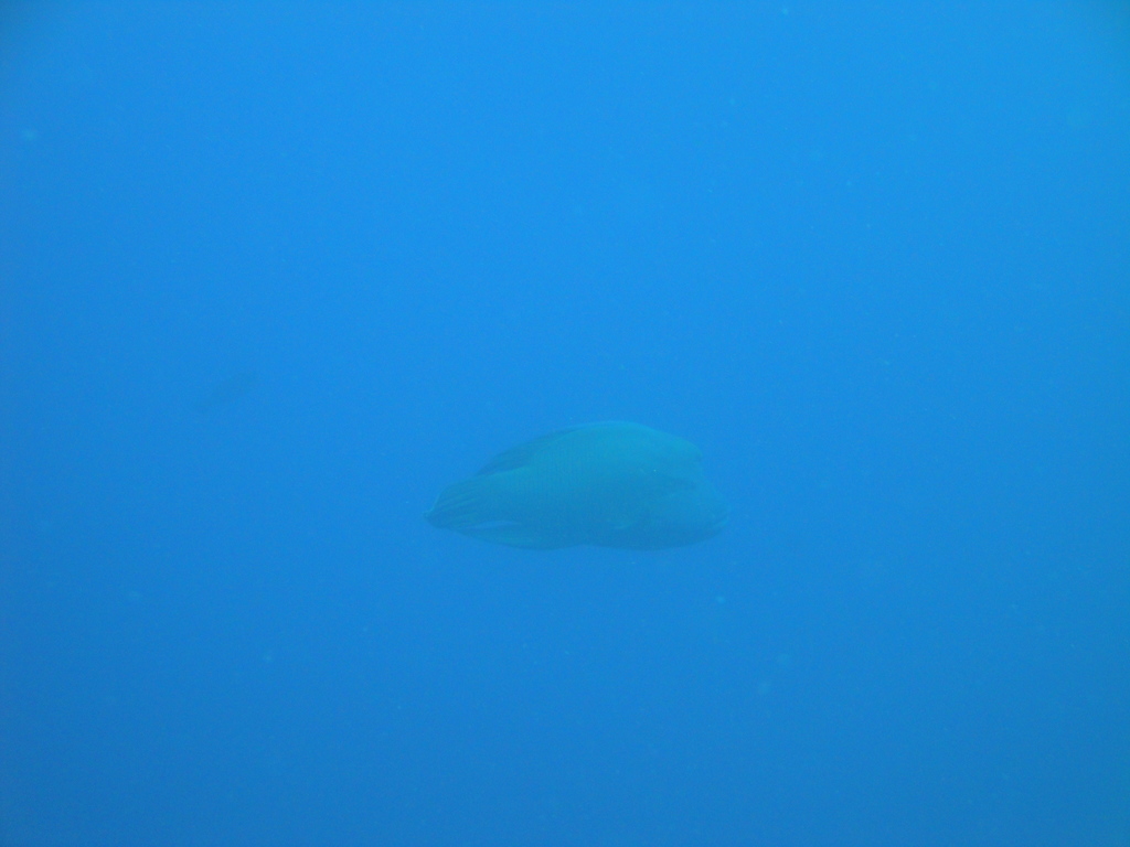 DSC00179.JPG