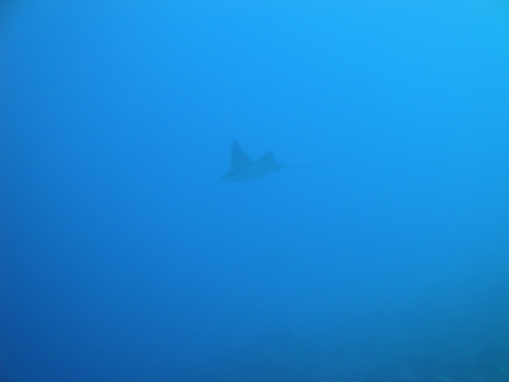 DSC00215.JPG