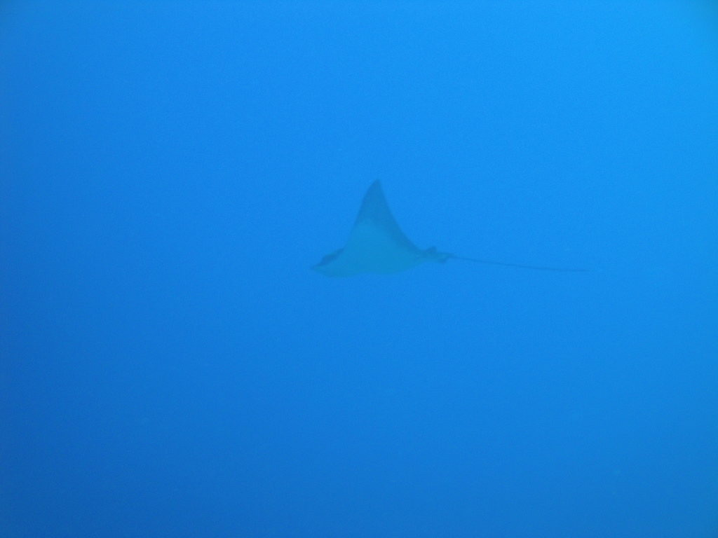 DSC00216.JPG