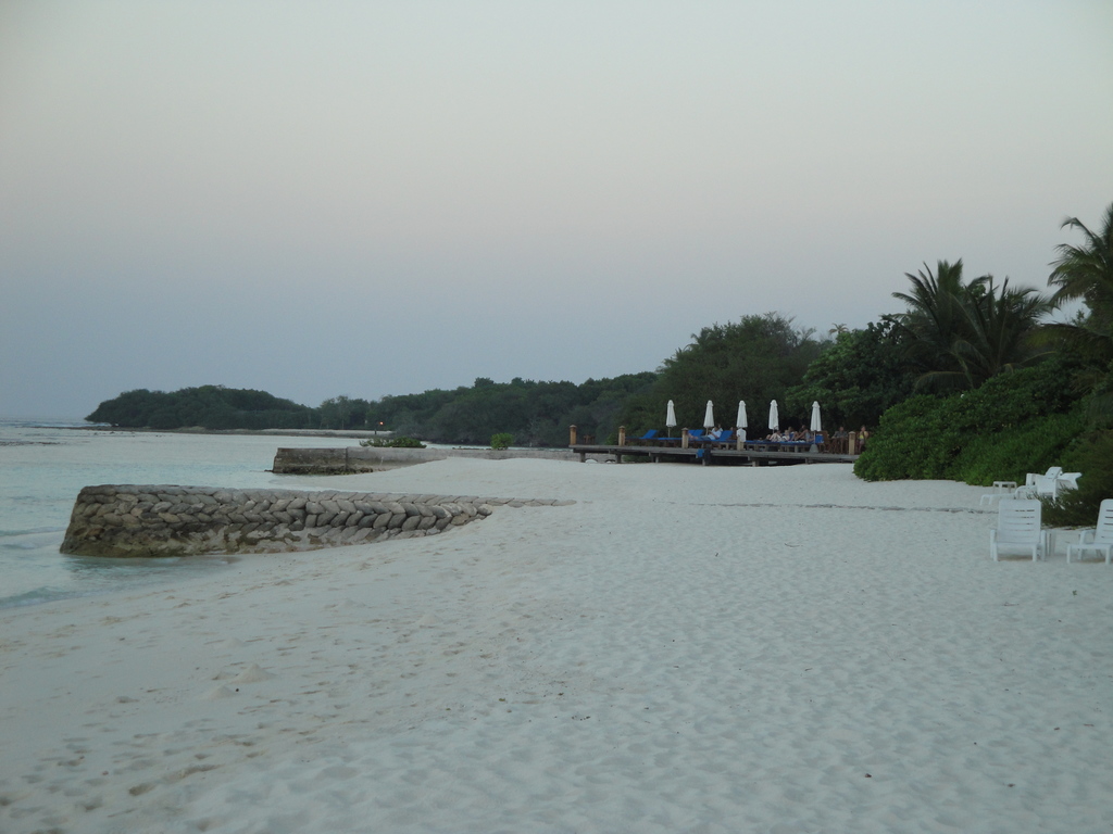 DSC00273.JPG