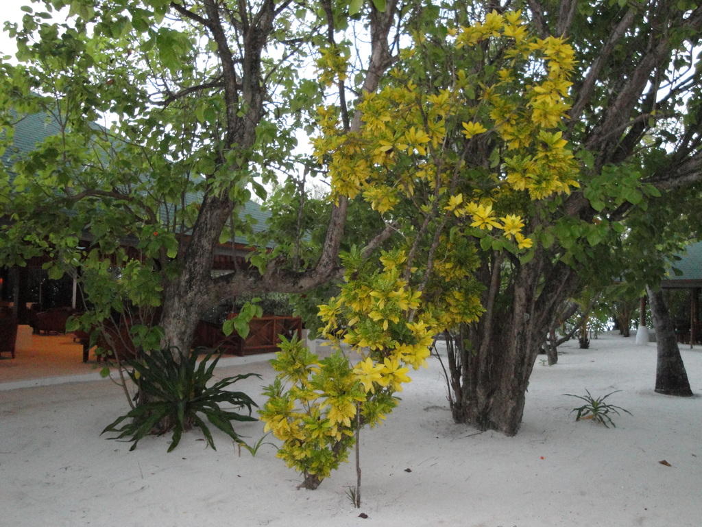 DSC00277.JPG