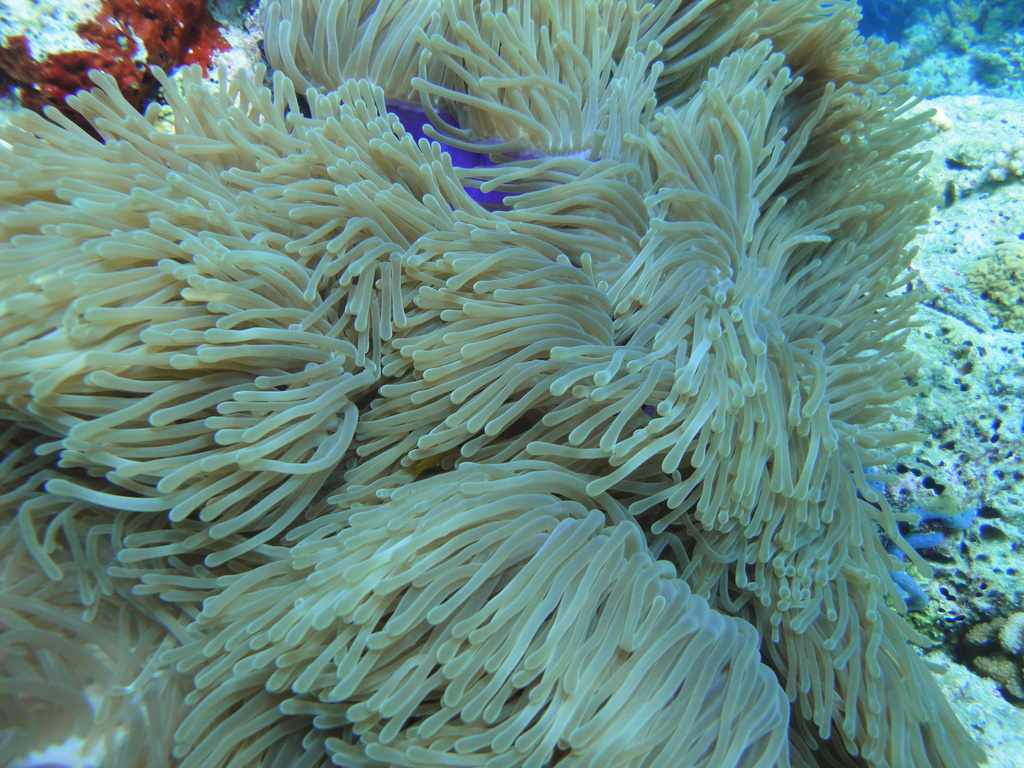 DSC00306.JPG