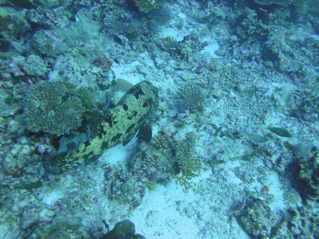 DSC00310.JPG