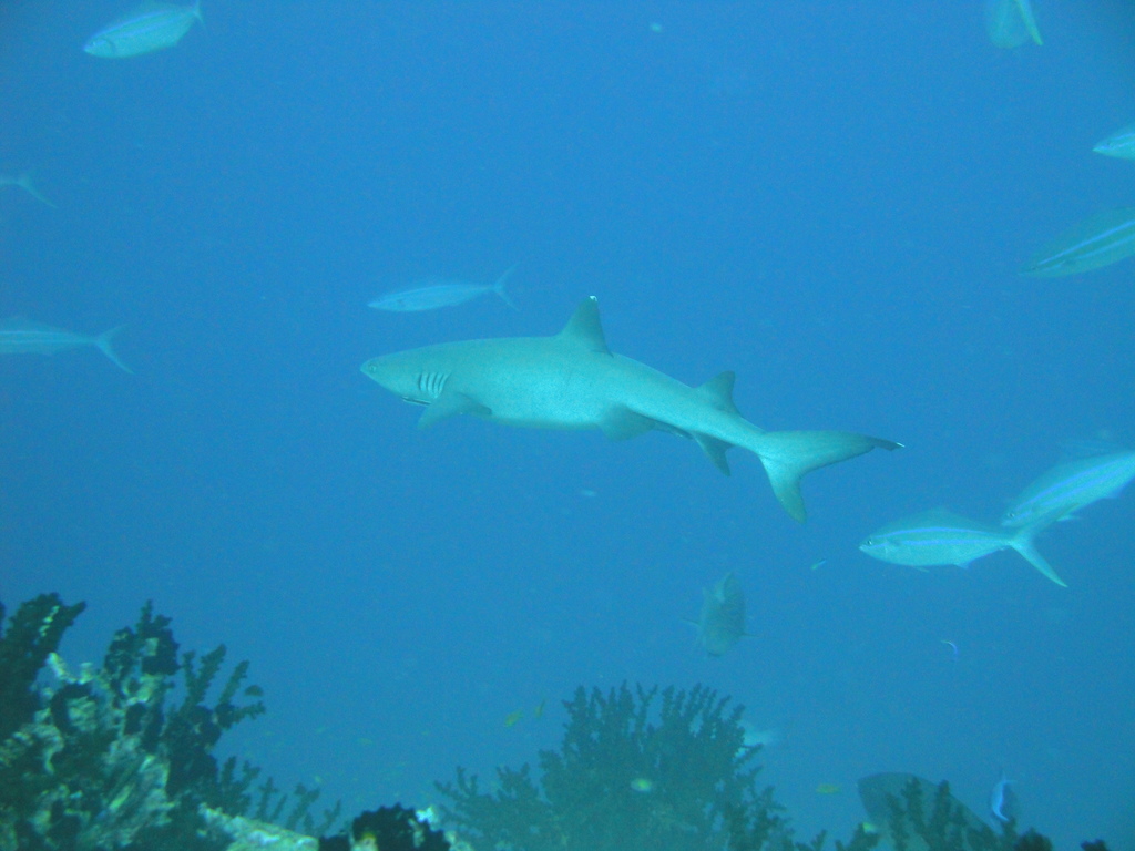 DSC00336.JPG