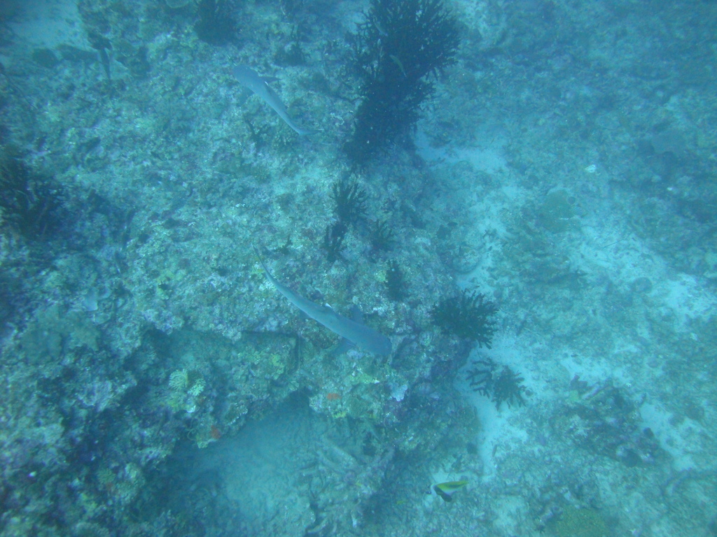 DSC00348.JPG