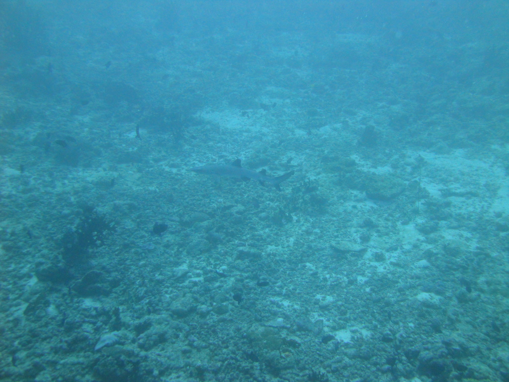 DSC00349.JPG
