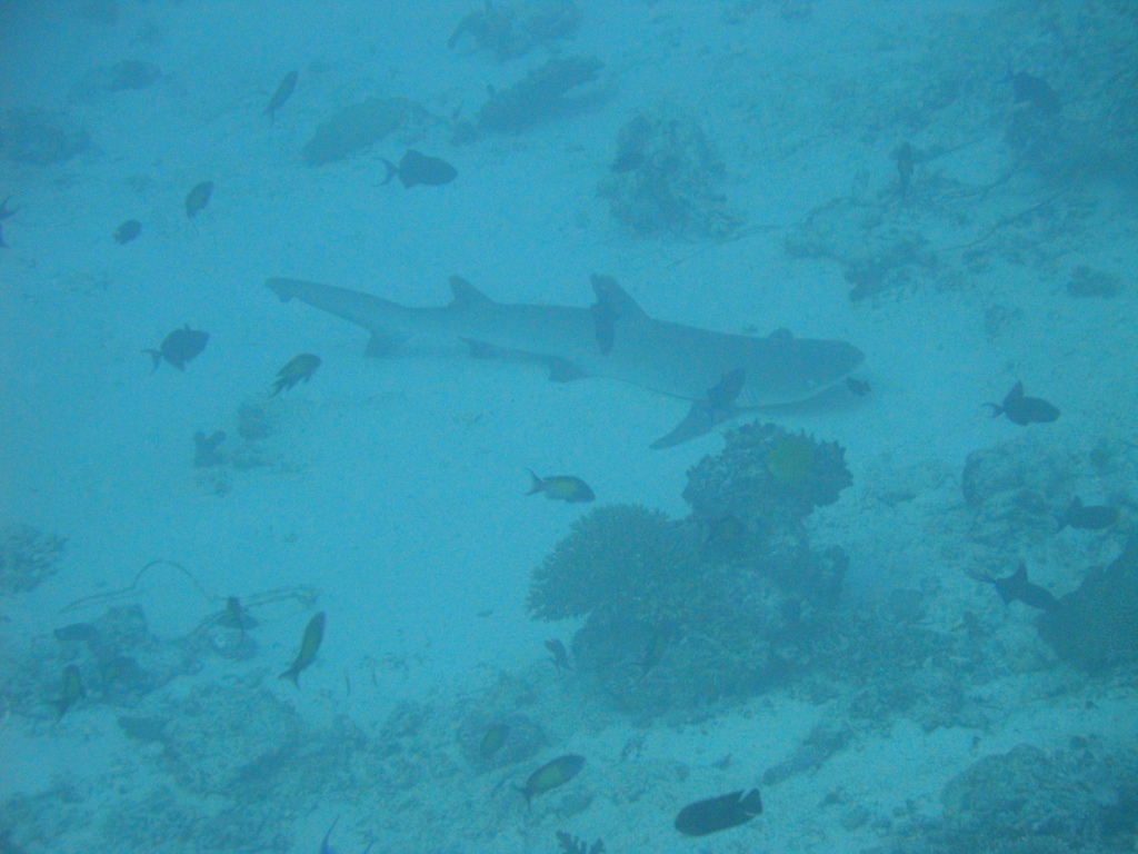 DSC00385.JPG