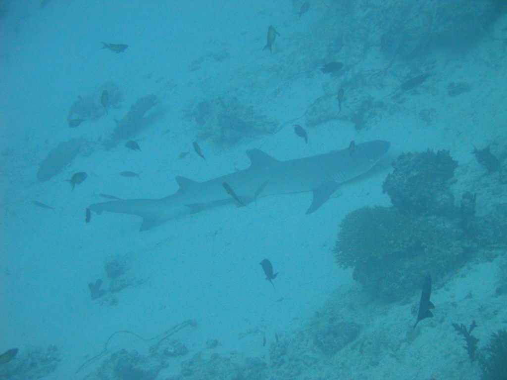 DSC00386.JPG
