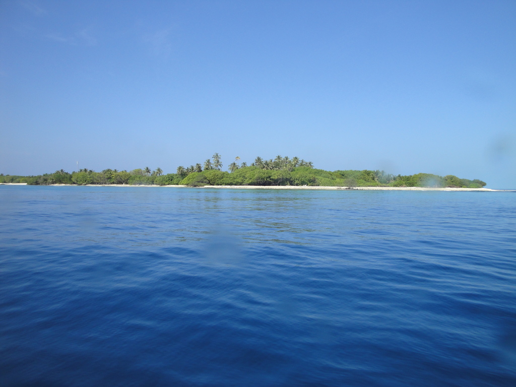 DSC00400.JPG