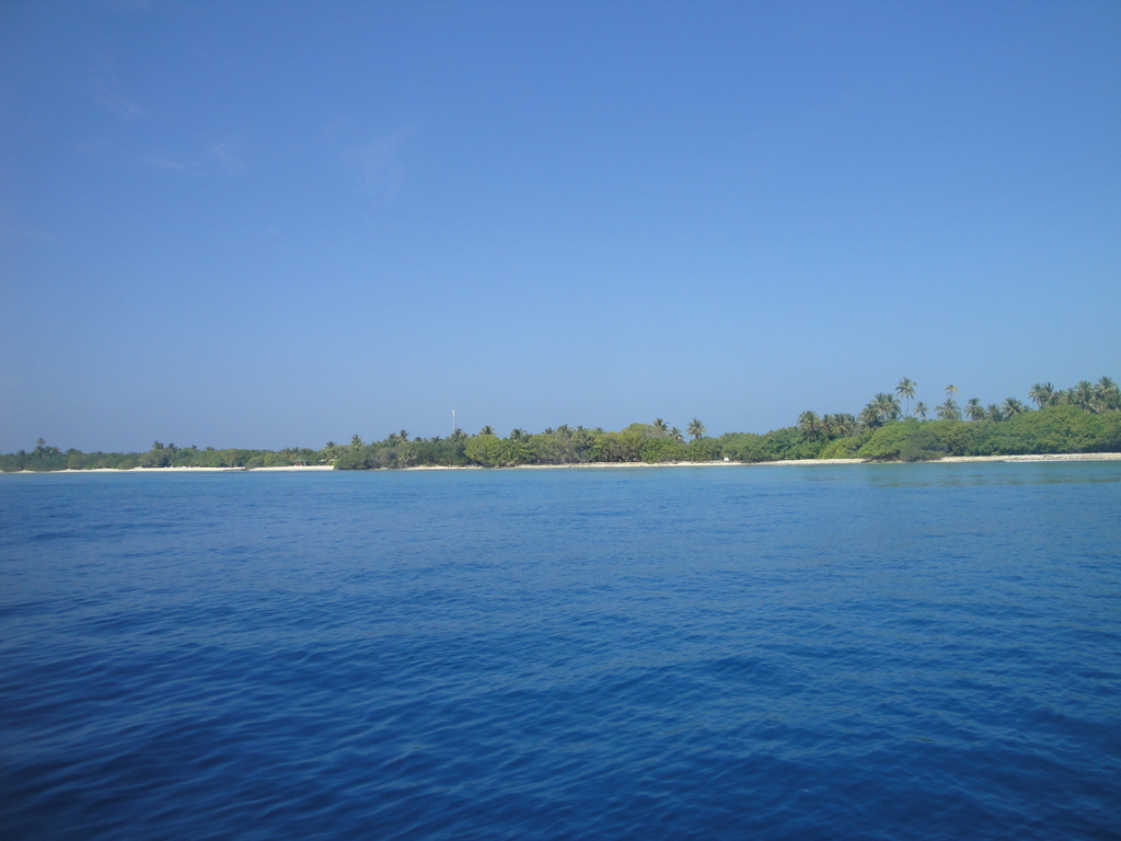 DSC00401.JPG