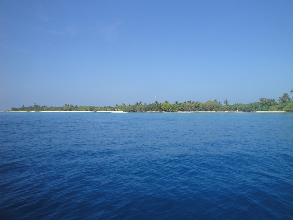 DSC00402.JPG