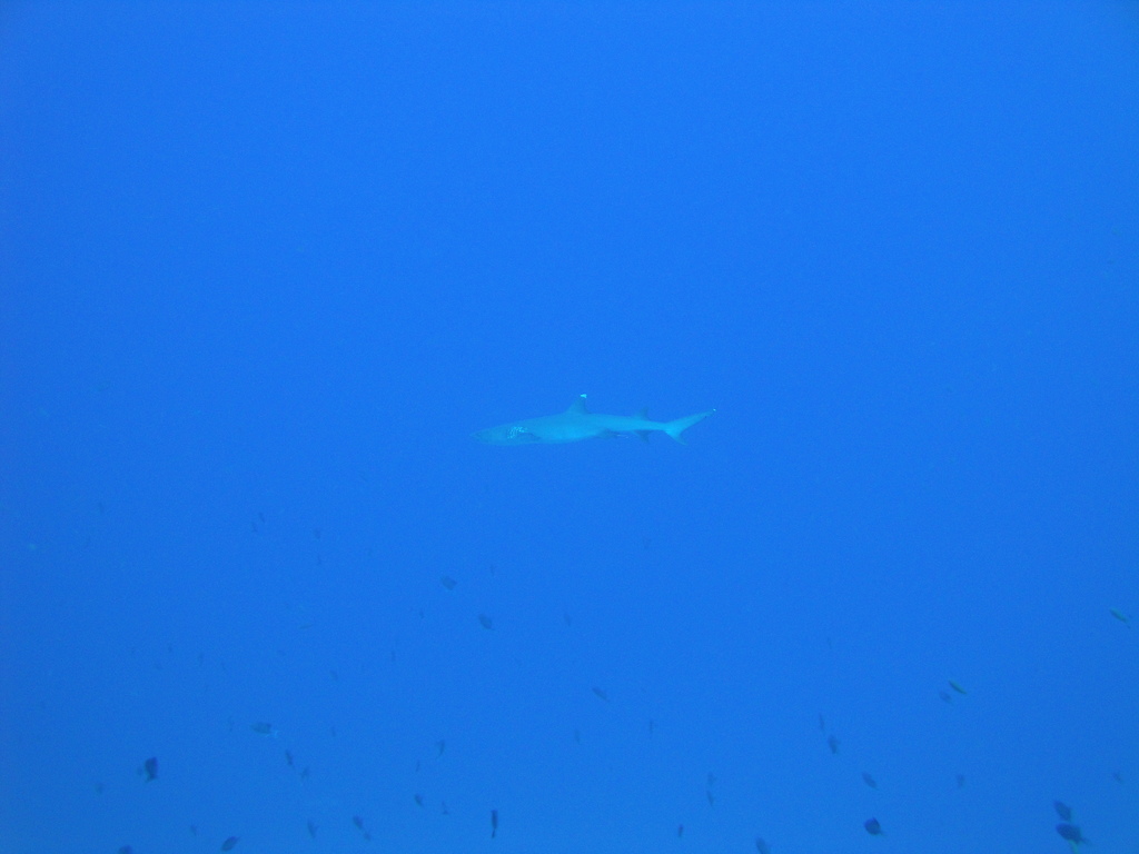 DSC00406.JPG