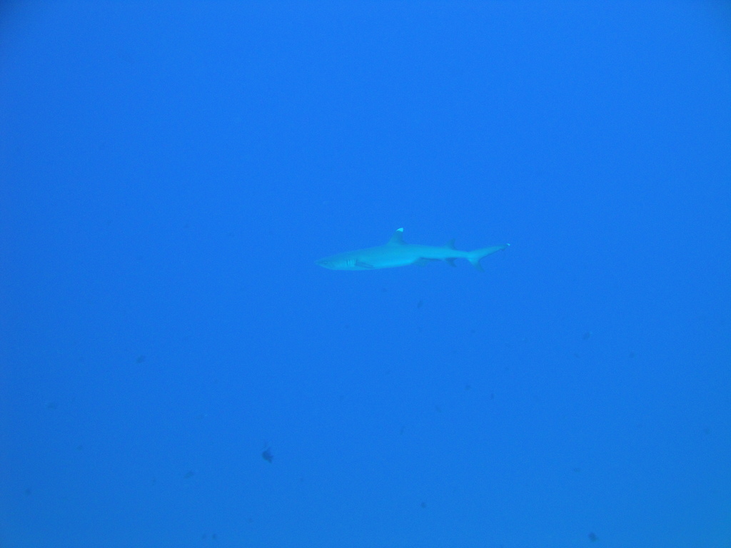 DSC00408.JPG