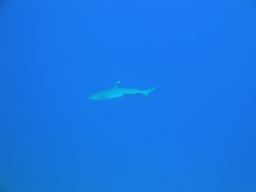 DSC00409.JPG
