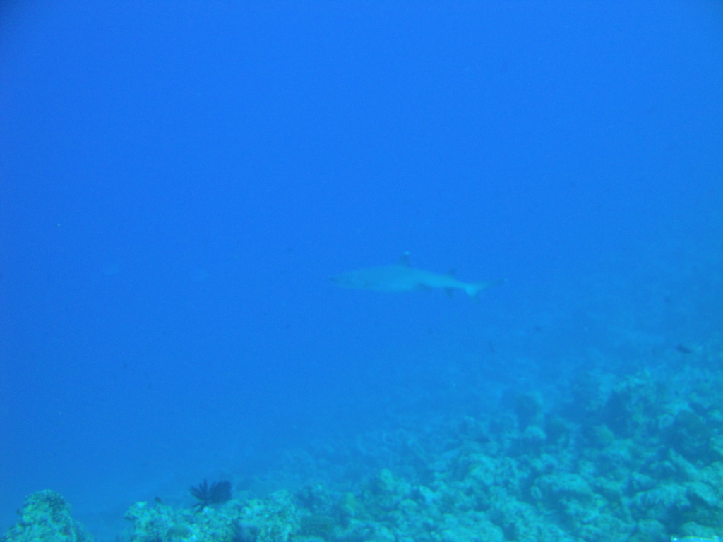 DSC00410.JPG