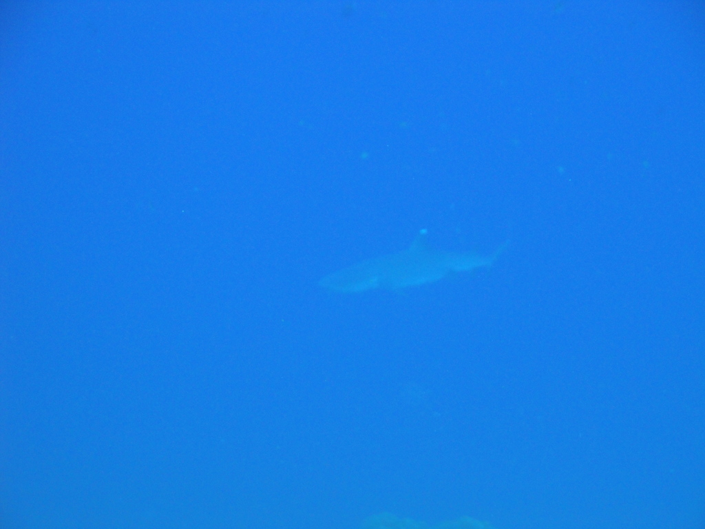 DSC00412.JPG