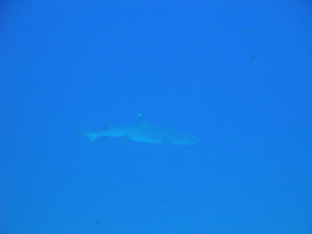 DSC00413.JPG
