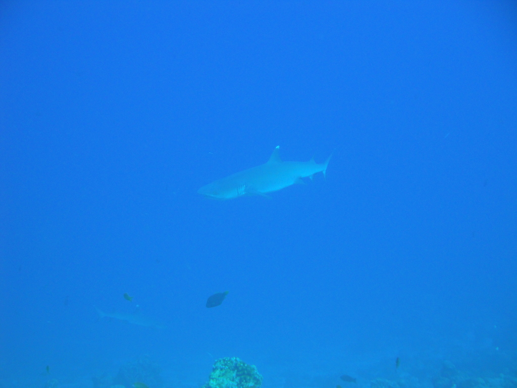 DSC00414.JPG