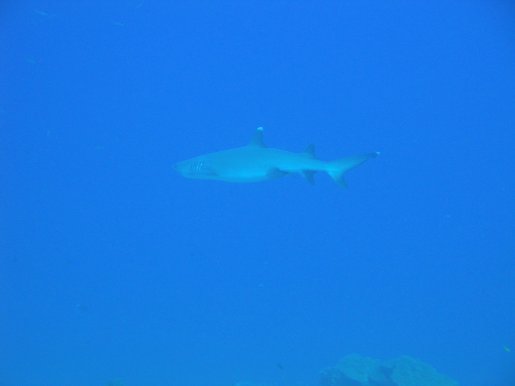DSC00415.JPG