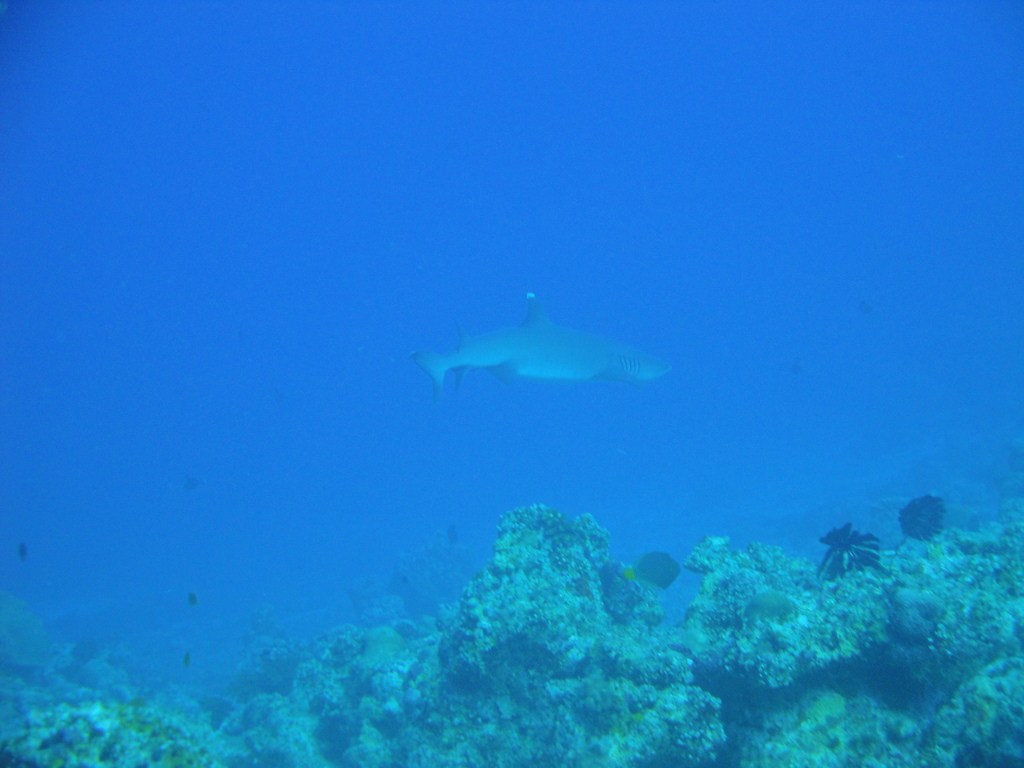 DSC00416.JPG