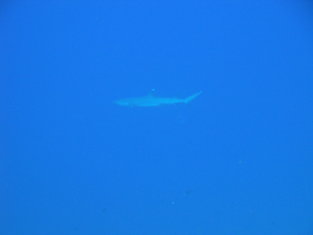 DSC00417.JPG