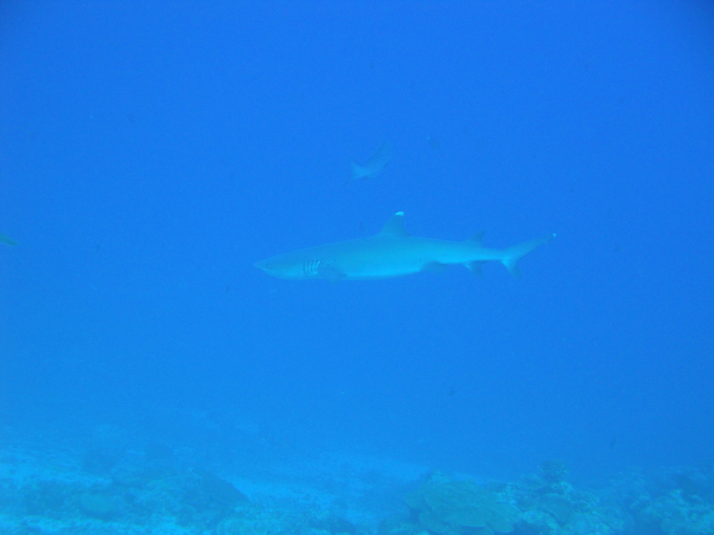DSC00418.JPG