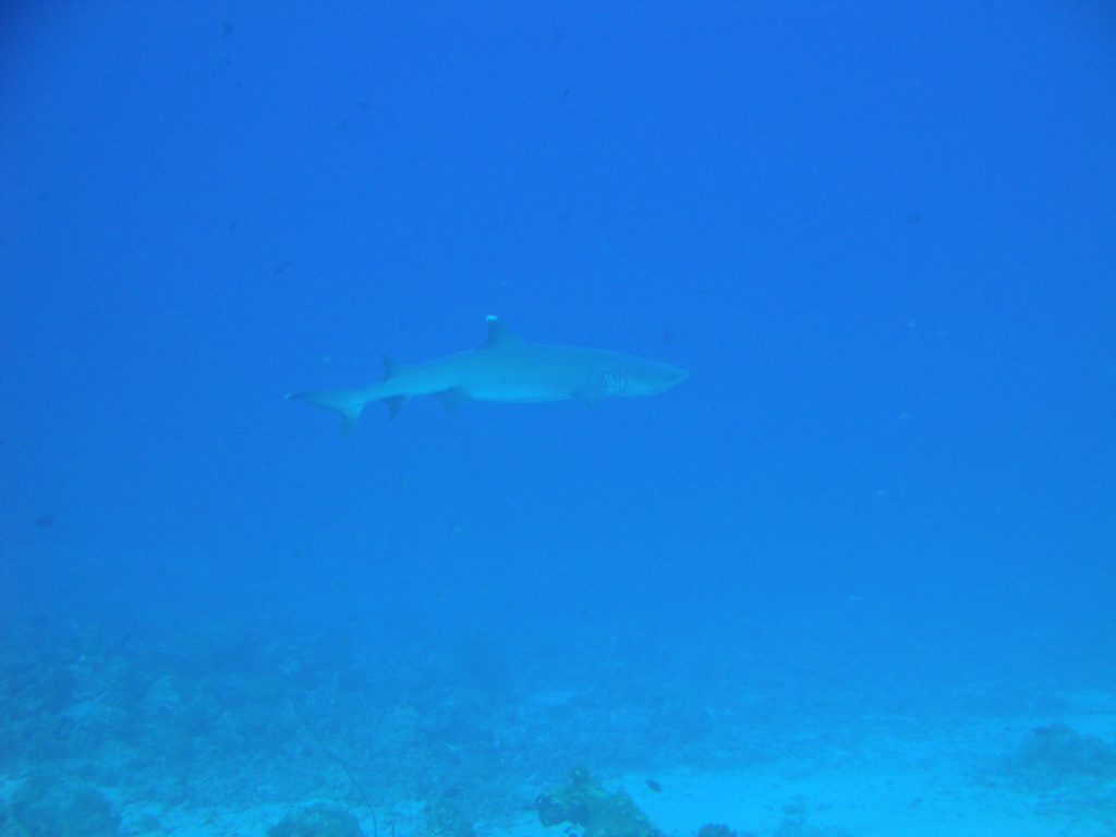 DSC00420.JPG