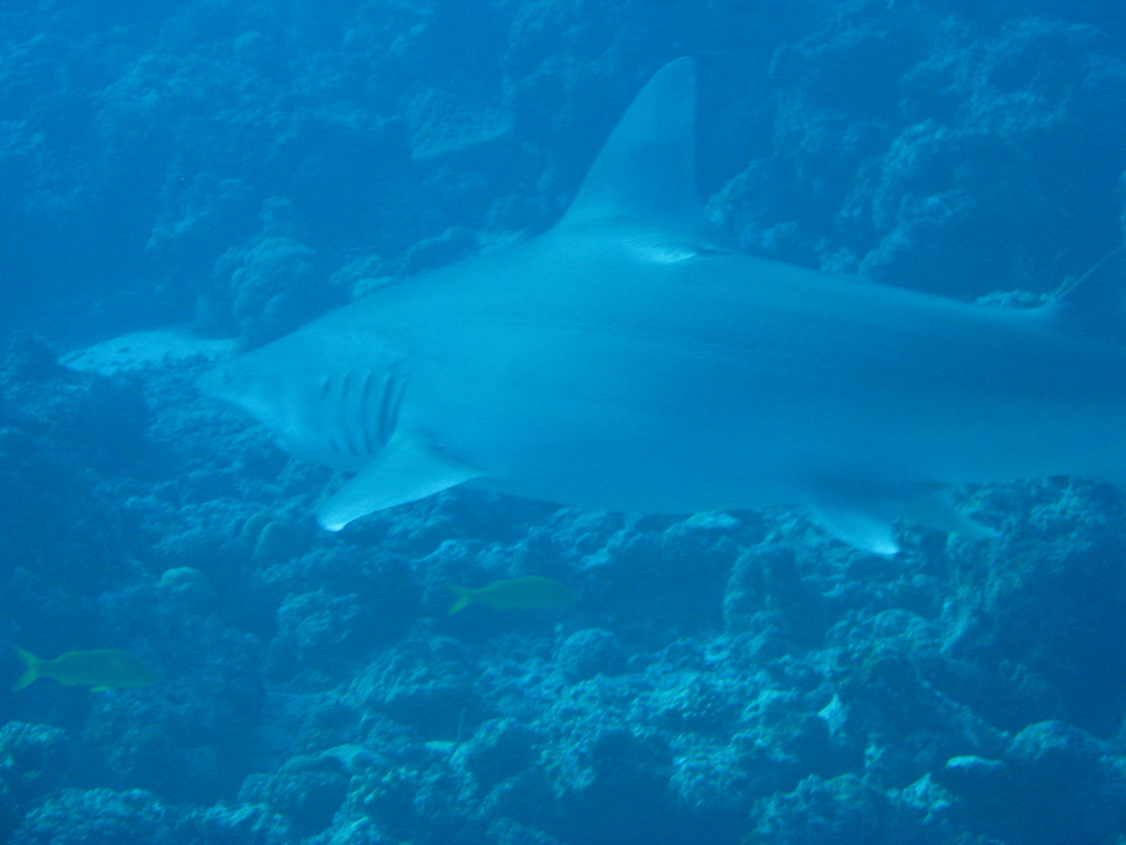 DSC00425.JPG